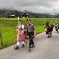 Désalpe annual cow festival Switzerland