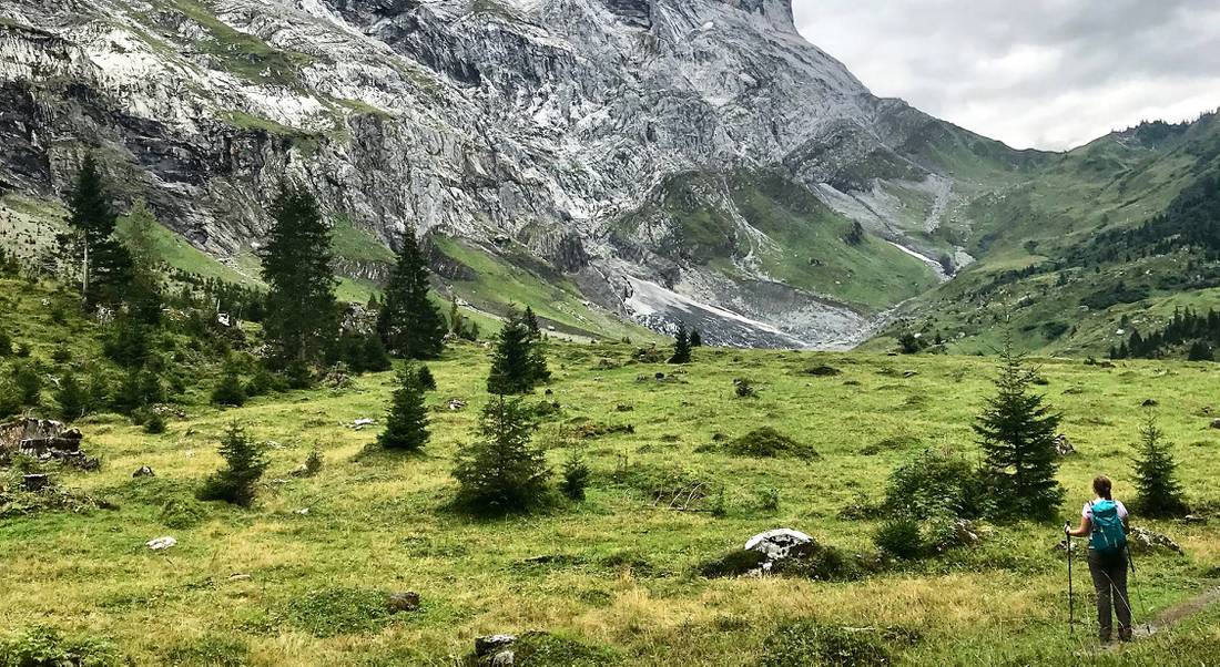 On the Via Alpina hiking above Meiringen |  <i>Nicola Croom</i>