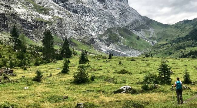 On the Via Alpina hiking above Meiringen | <i>Nicola Croom</i>