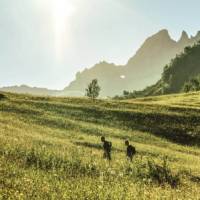 Hiking the Via Alpina | Lorenz Richard