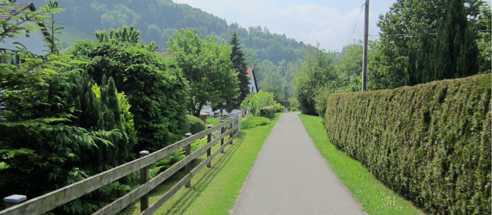 Tranquil Swiss cycling path | Gerard Tellam