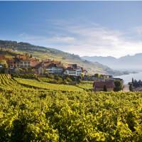 Rivaz, above Lake Geneva on the Via Francigena in Switzerland