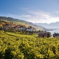 Rivaz, above Lake Geneva on the Via Francigena in Switzerland