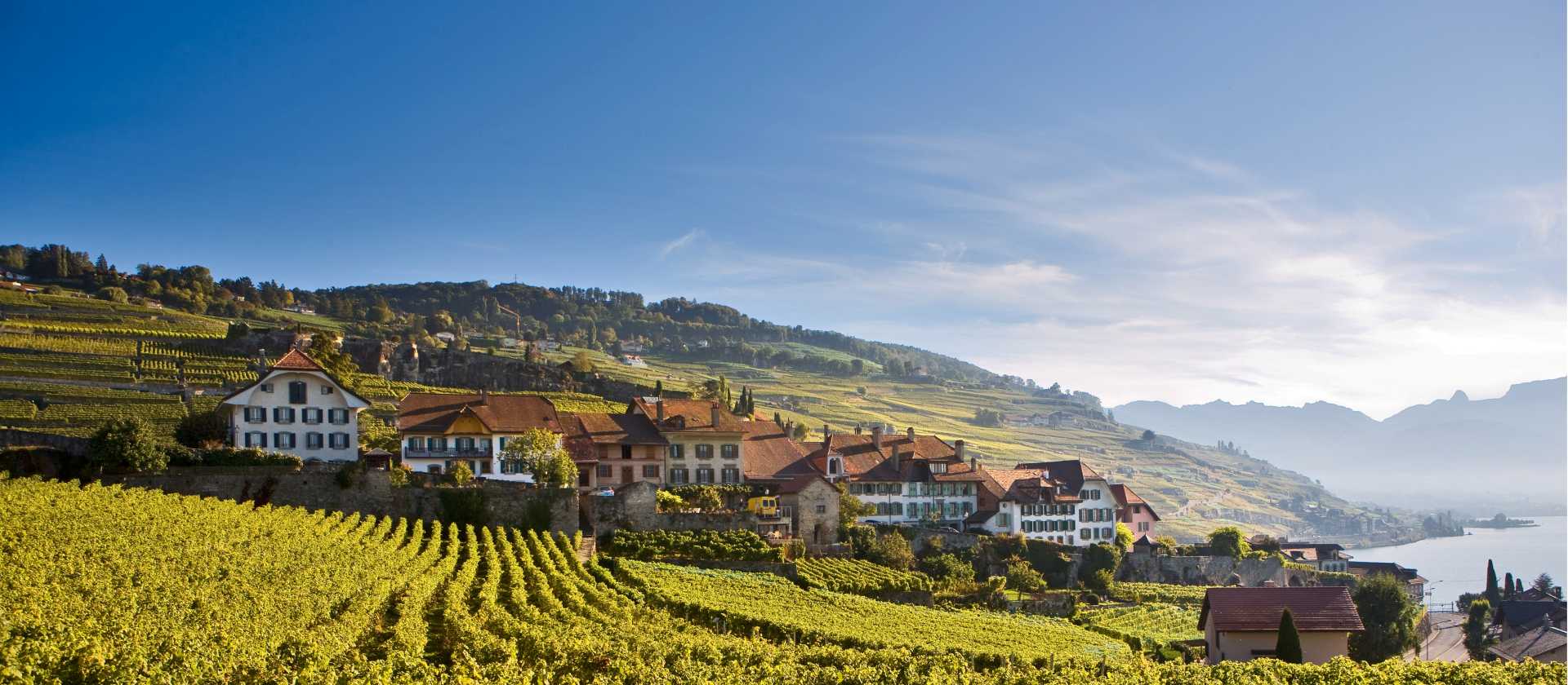 Rivaz, above Lake Geneva on the Via Francigena in Switzerland
