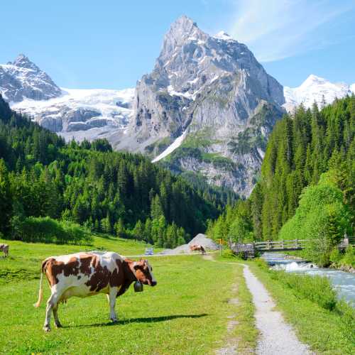 Walking in the Rosenlaui Valley, Switzerland.