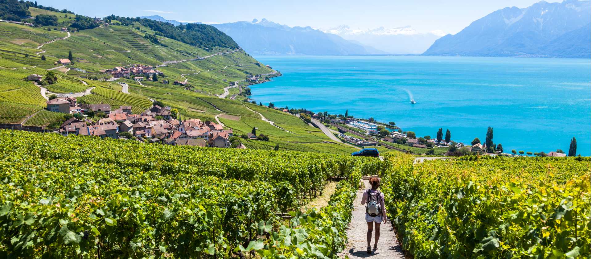 Vineyards near Lausanne in Switzerland