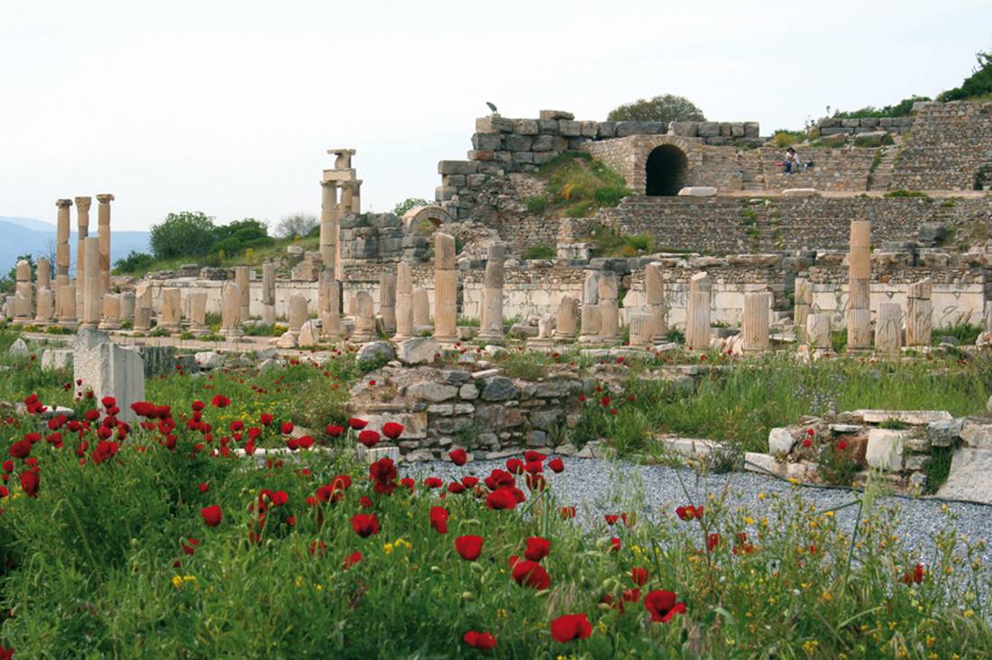 Ephesus Ruins, Turkey |  <i>Ona Okon</i>