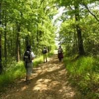 Lectoure aire sur Adour