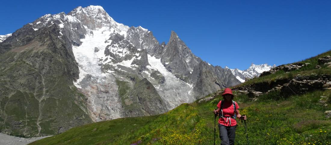 Walking Poles Mont Blanc
