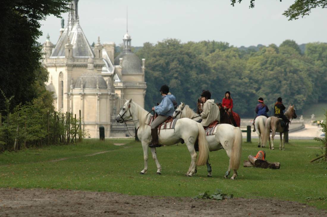 See the wonderful horses in the Great Stables of Chantilly on a bike tour in Northern France
