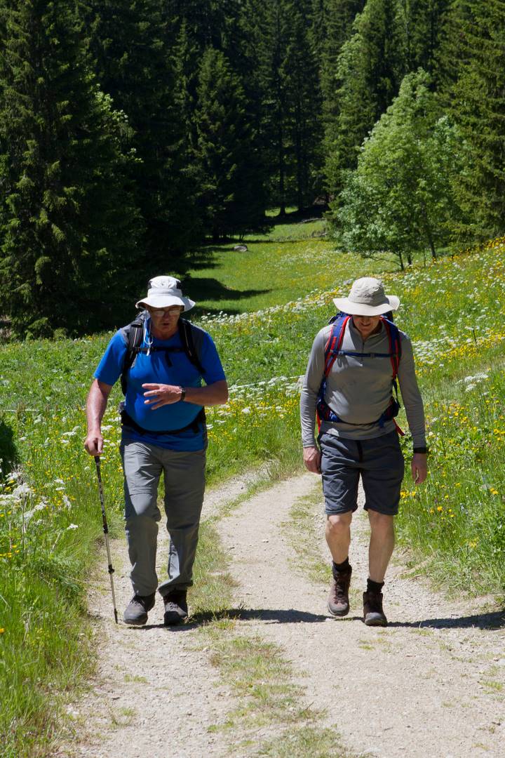 Hiking the flower lined paths of the Tour du Mont Blanc |  <i>Michael Olwyler</i>
