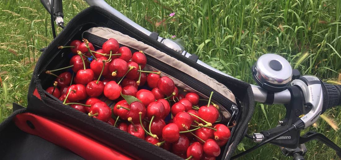 Enjoy cherries collected from orchards you cycle through in the Provence region |  <i>Kylie Martin</i>