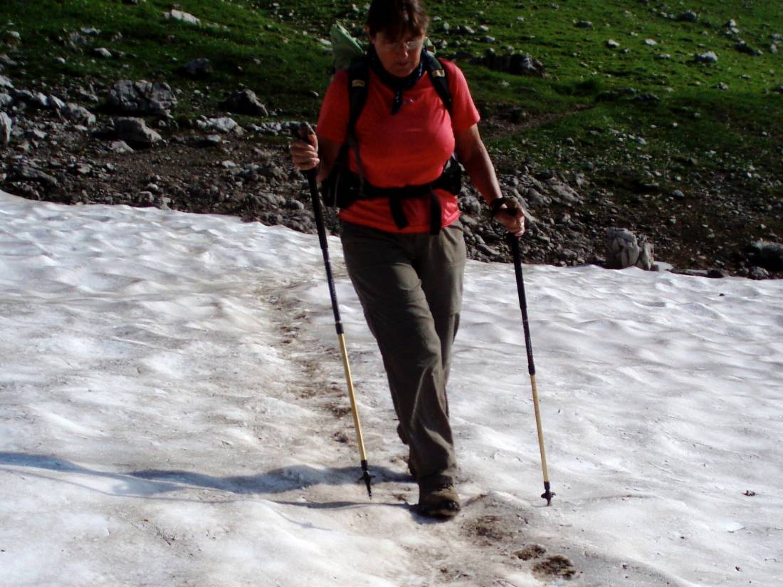 Crossing a patch of snow on the Via Alpina |  <i>Brandon Wilson</i>