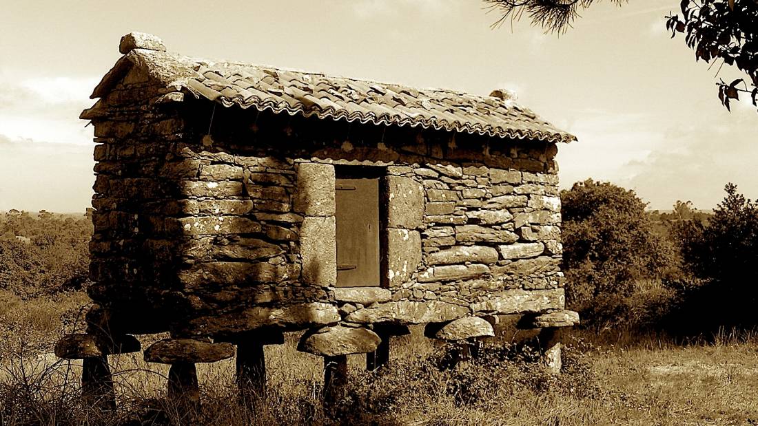 Horreo, traditional grain storage | <i>Brandon Wilson</i>