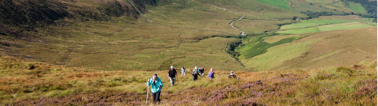 Superb scenery on a walking tour in Ireland