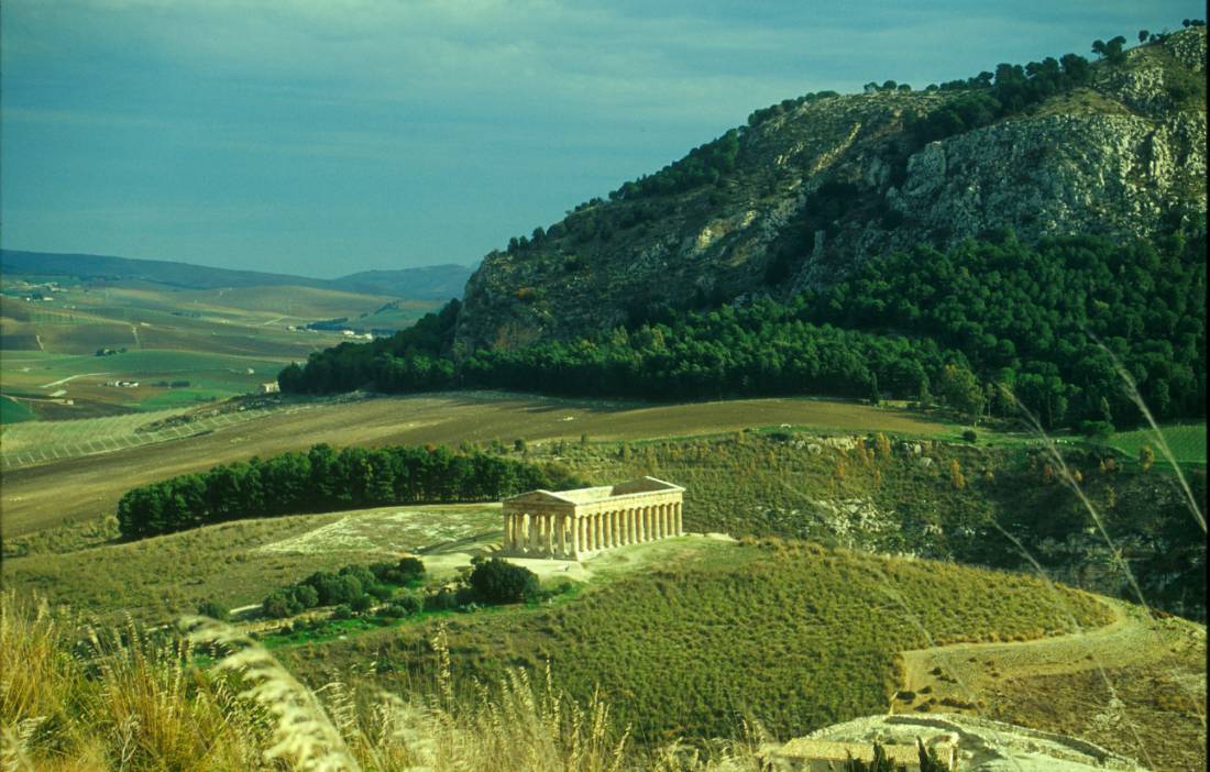 segesta |  <i>mandala</i>