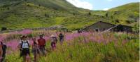 Day 1 of the Tour Du Mont Blanc descending into Switzerland |  <i>Ryan Graham</i>