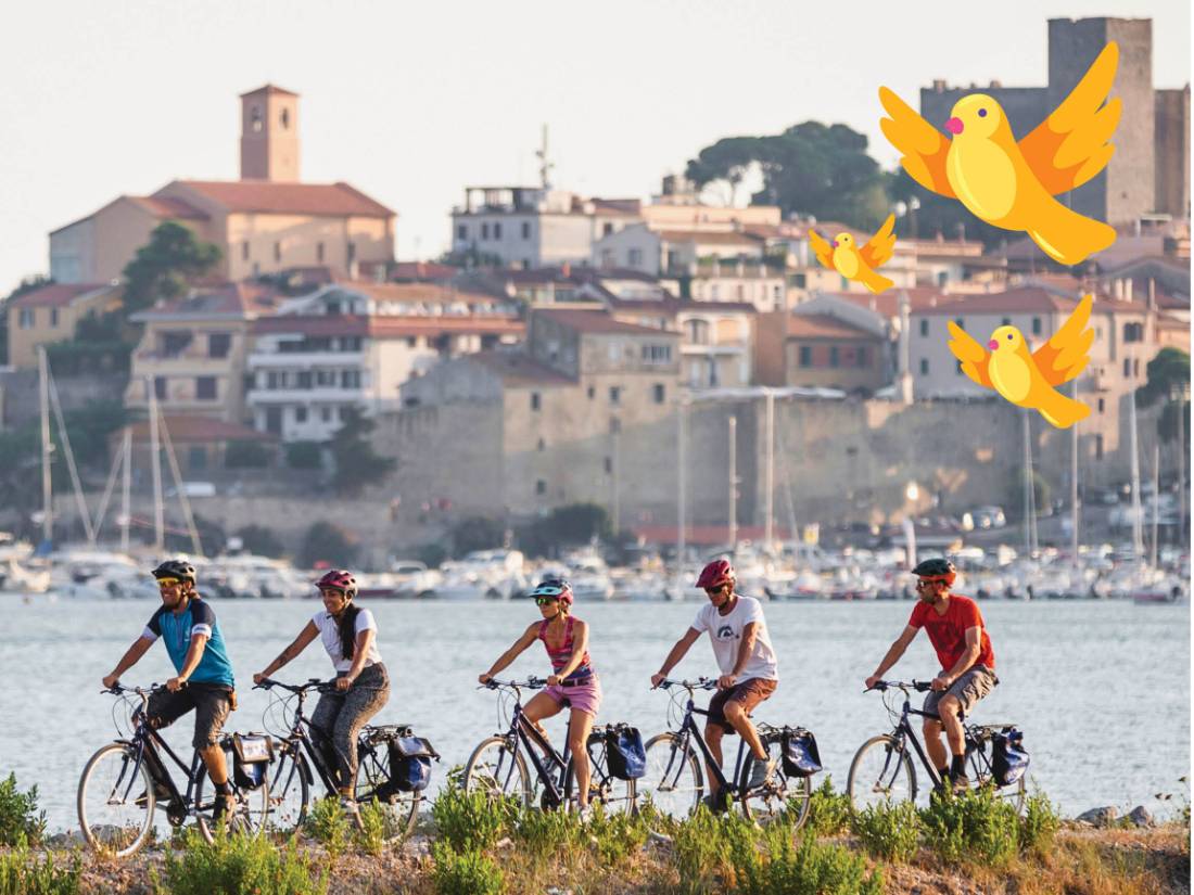 Early Bird Sale 2024: Cycling