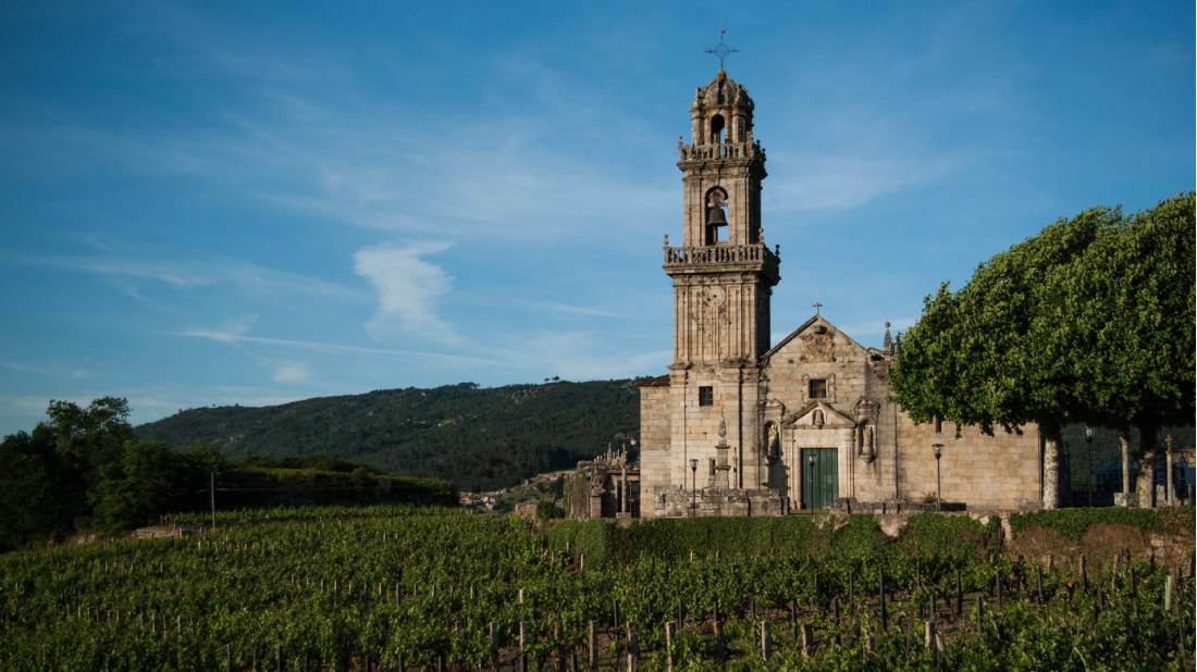 Albariño is the most famous wine produced in the Galicia region