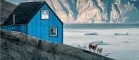 Huskies in Western Greenland
