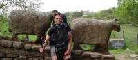 A rest by a sheep sculpture near the River Tees | John Millen