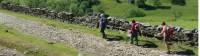 Above Swaledale, walking in England