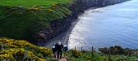 Ascending Fleswick Bay on the Coast to Coast near St Bees | John Millen