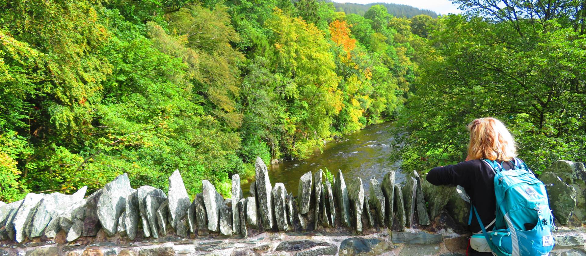 Bridge over the River Greta | John Millen