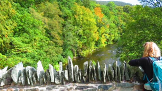 Bridge over the River Greta | John Millen