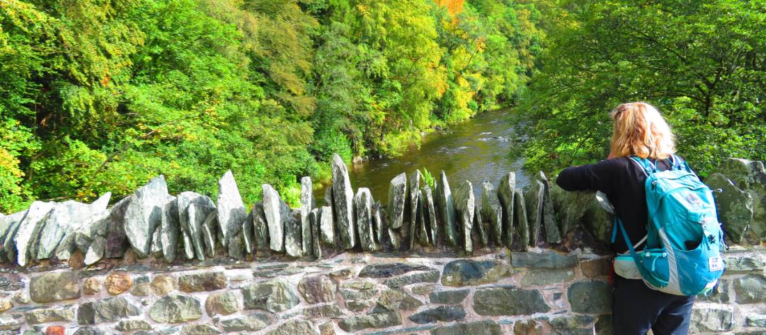 Bridge over the River Greta |  <i>John Millen</i>