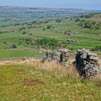 Yorkshire fields | John Millen