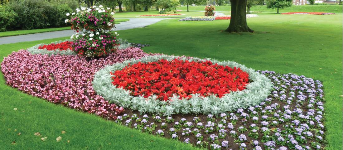 Flower beds, Carlisle