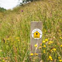 Waymarking on the Cotswold Way | Tom McShane