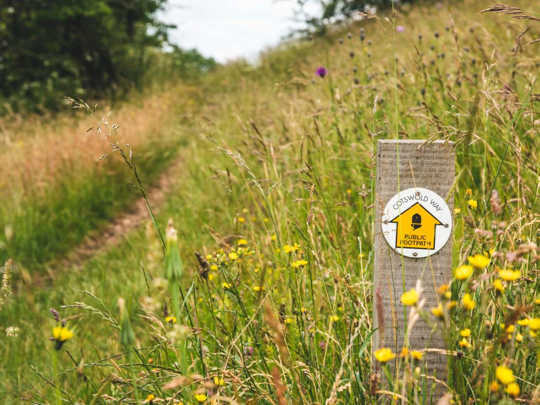 Waymarking on the Cotswold Way |  <i>Tom McShane</i>