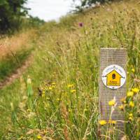 Waymarking on the Cotswold Way | Tom McShane