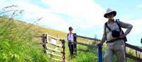 On the Great Glen above Drumnadrochit