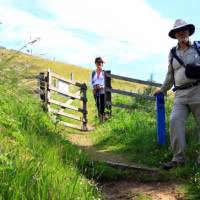 On the Great Glen above Drumnadrochit