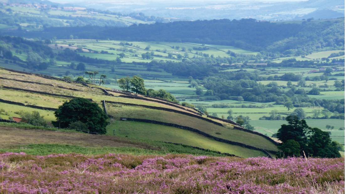 Picturesque North York Moors national park