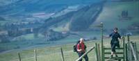 On the Offa's Dyke near Kington