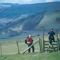 On the Offa's Dyke near Kington