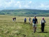 On the moors near Orton Scar, England