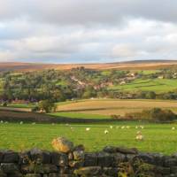 Overlooking High Moor, Danby | John Millen