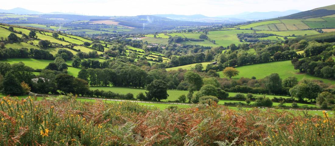 Bucolic countryside around the Wicklow Way |  <i>John Millen</i>