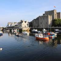 Castle town Harbour | John Millen
