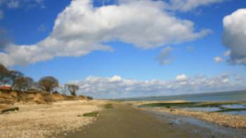 Sherpa, Isle of Wight Walking,,John Millen Beach near Bembridge