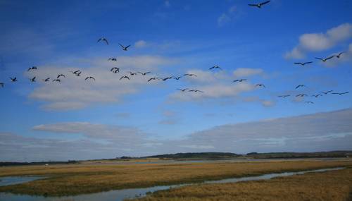 Flying over Newtown Bay