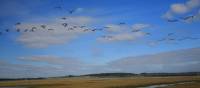 Flying over Newtown Bay