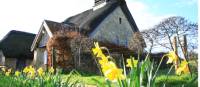 Thatched Church of Freshwater Bay