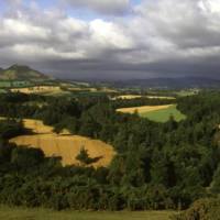 Looking towards the Eldon Hills near Melrose