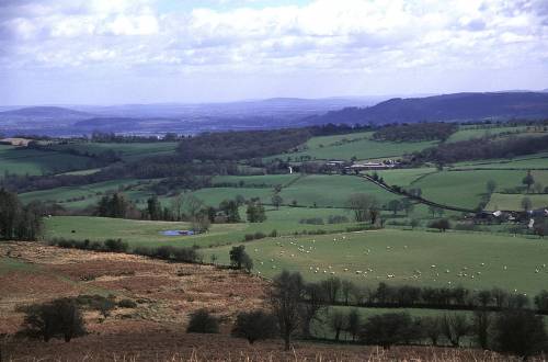 Hergest Ridge